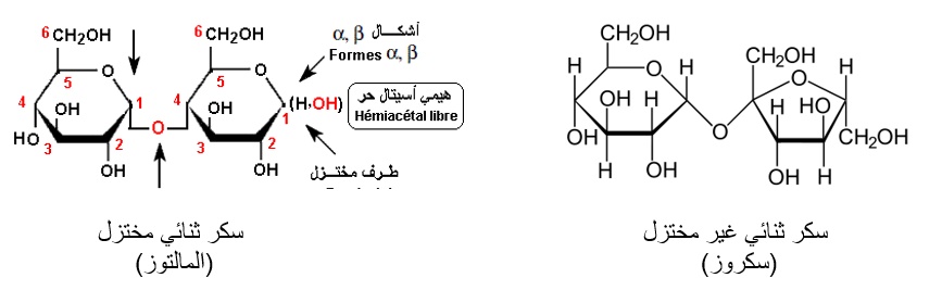 ما هو الفرق بين السكريات المختزلة و السكريات الغير مختزلة